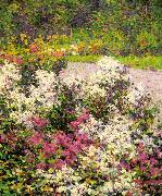 Hugh Henry Breckenridge White Phlox Norge oil painting reproduction